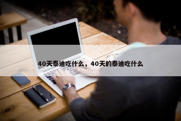 40天泰迪吃什么，40天的泰迪吃什么