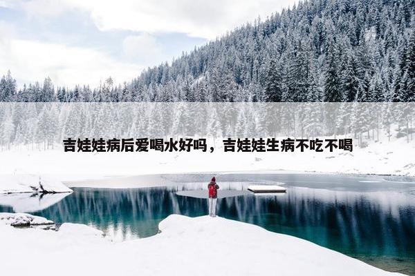 吉娃娃病后爱喝水好吗,吉娃娃生病不吃不喝