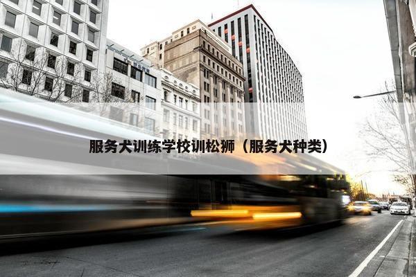 服务犬训练学校训松狮（服务犬种类）
