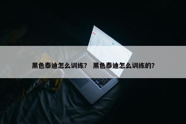 黑色泰迪怎么训练？ 黑色泰迪怎么训练的？