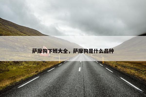 萨摩狗下班大全，萨摩狗是什么品种