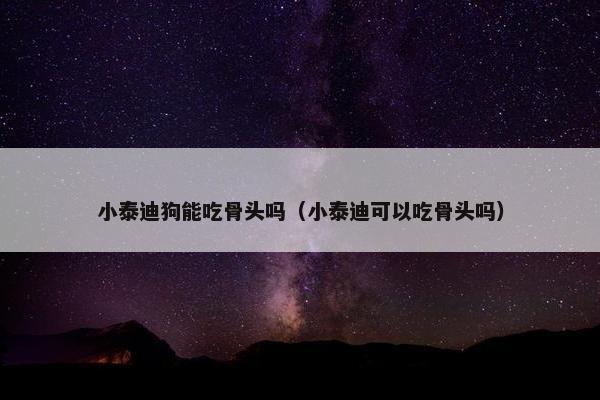 小泰迪狗能吃骨头吗（小泰迪可以吃骨头吗）