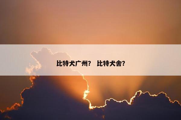 比特犬广州? 比特犬舍?