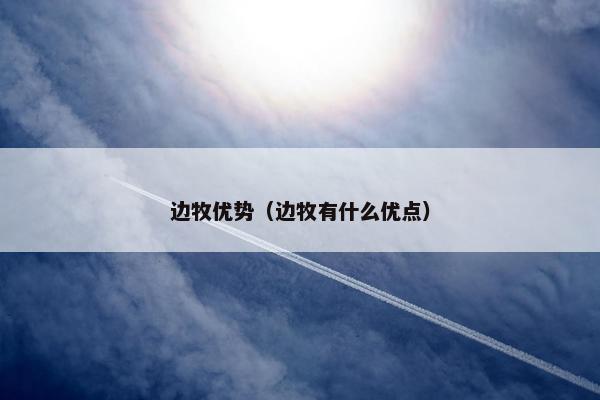 边牧优势（边牧有什么优点）