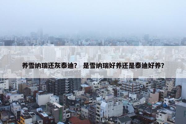 养雪纳瑞还灰泰迪？ 是雪纳瑞好养还是泰迪好养？