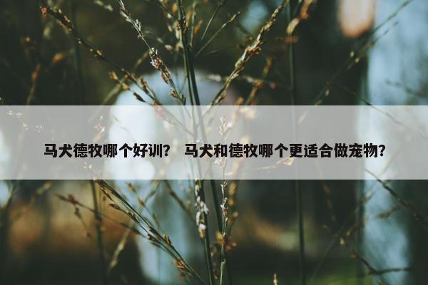 马犬德牧哪个好训？ 马犬和德牧哪个更适合做宠物？