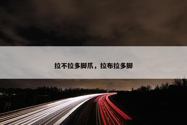 拉不拉多脚爪，拉布拉多脚