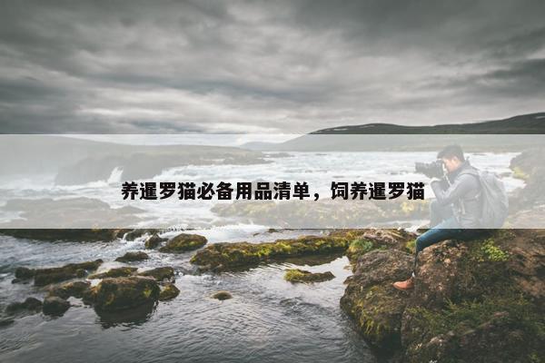 养暹罗猫必备用品清单,饲养暹罗猫