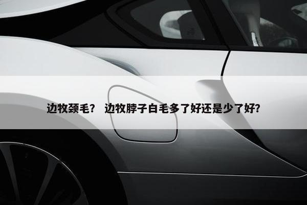 边牧颈毛? 边牧脖子白毛多了好还是少了好?