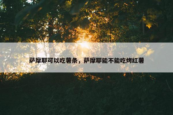 萨摩耶可以吃薯条,萨摩耶能不能吃烤红薯