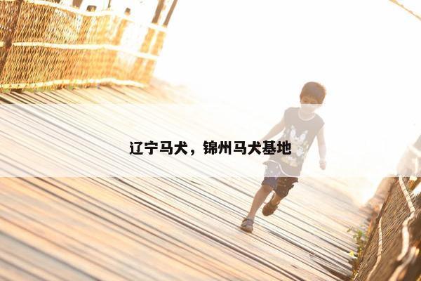 辽宁马犬，锦州马犬基地