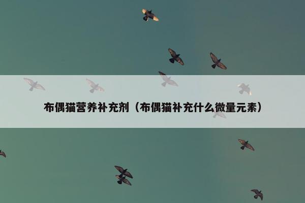 布偶猫营养补充剂（布偶猫补充什么微量元素）