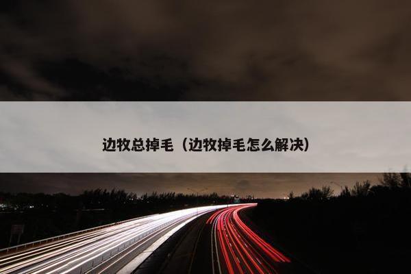 边牧总掉毛（边牧掉毛怎么解决）