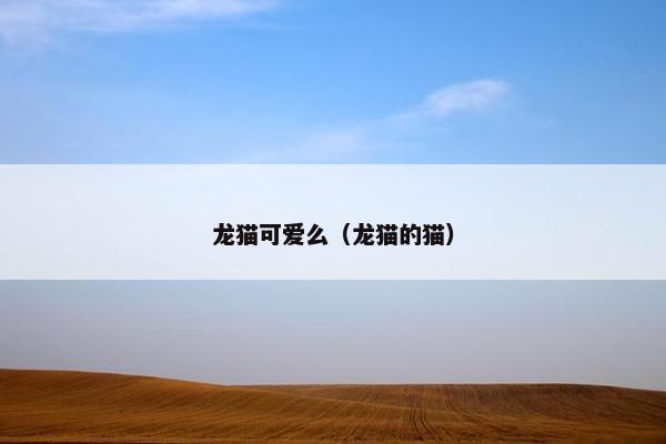 龙猫可爱么(龙猫的猫)