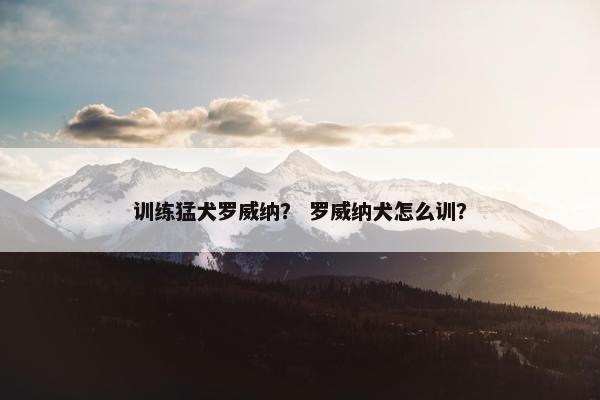 训练猛犬罗威纳? 罗威纳犬怎么训?