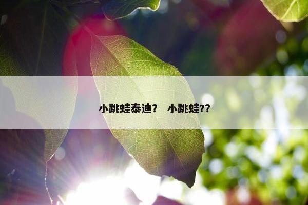 歌词