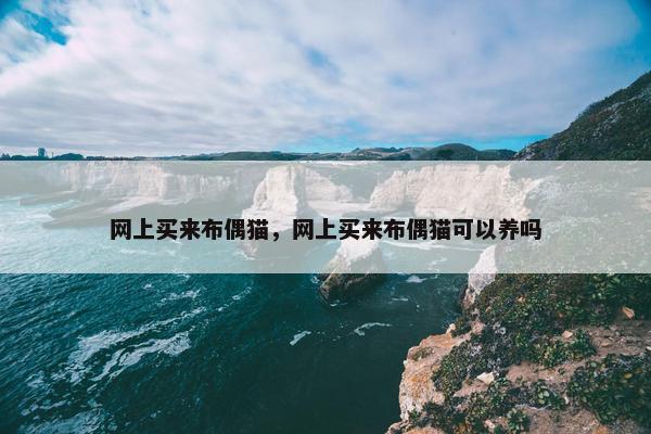 网上买来布偶猫，网上买来布偶猫可以养吗