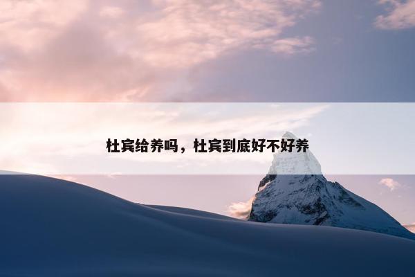 杜宾给养吗，杜宾到底好不好养