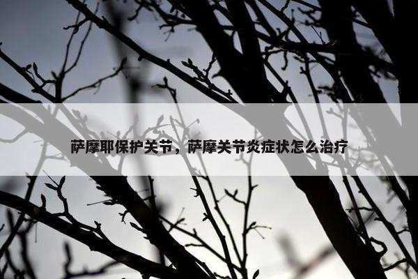 萨摩耶保护关节，萨摩关节炎症状怎么治疗