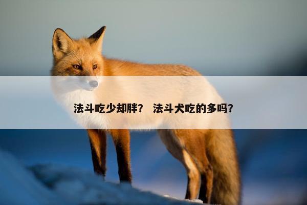 法斗吃少却胖？ 法斗犬吃的多吗？