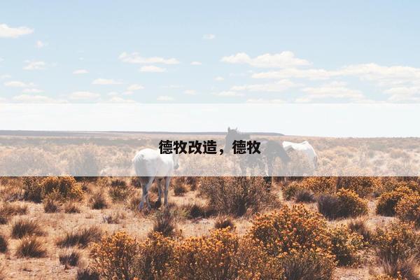 德牧改造，德牧