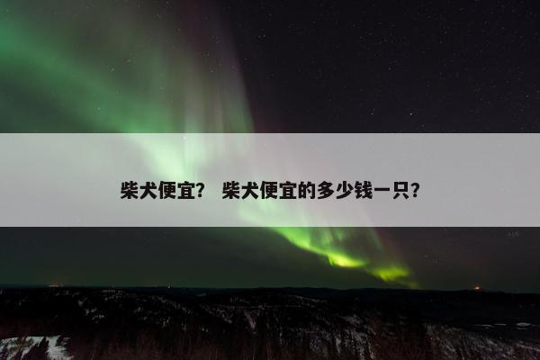 柴犬便宜？ 柴犬便宜的多少钱一只？