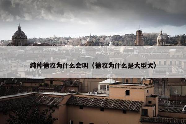 德牧 第10页