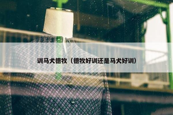 训马犬德牧（德牧好训还是马犬好训）
