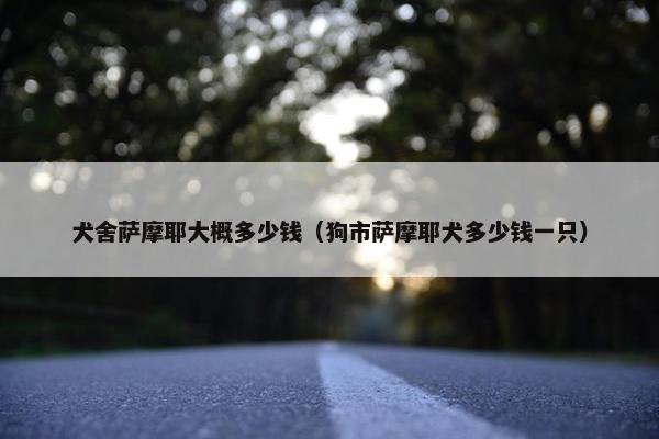 犬舍萨摩耶大概多少钱（狗市萨摩耶犬多少钱一只）