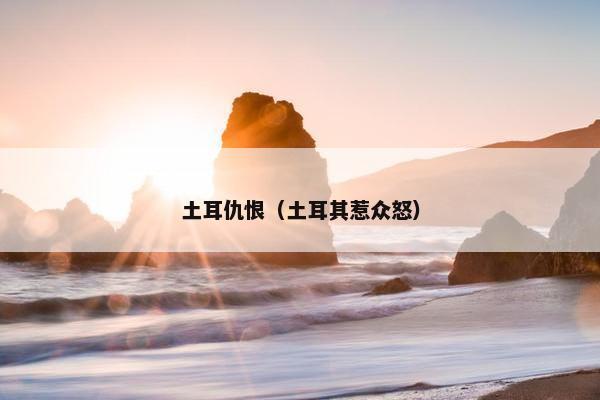 土耳仇恨（土耳其惹众怒）