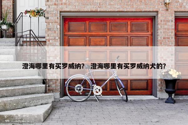 澄海哪里有买罗威纳? 澄海哪里有买罗威纳犬的?