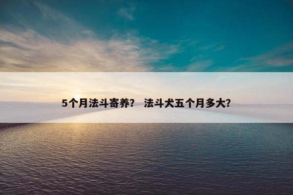 5个月法斗寄养？ 法斗犬五个月多大？
