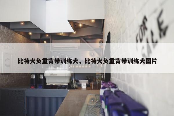 弹跳