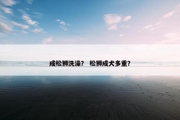 成松狮洗澡？ 松狮成犬多重？