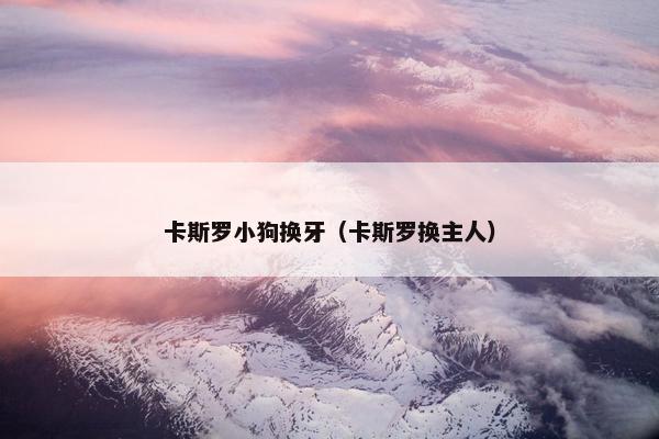 卡斯罗小狗换牙（卡斯罗换主人）