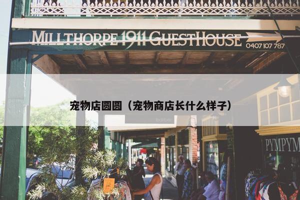 宠物店圆圆（宠物商店长什么样子）