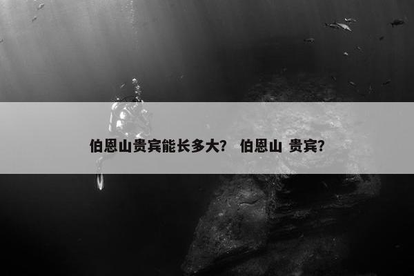 伯恩