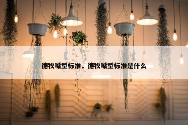 德牧嘴型标准，德牧嘴型标准是什么