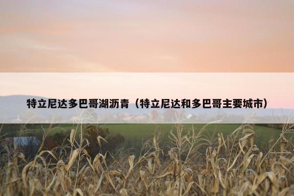 特立尼达多巴哥湖沥青（特立尼达和多巴哥主要城市）