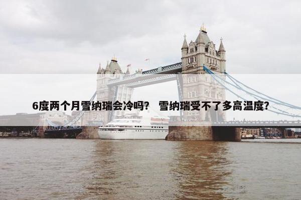 以下