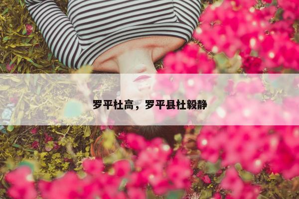 罗平杜高，罗平县杜毅静