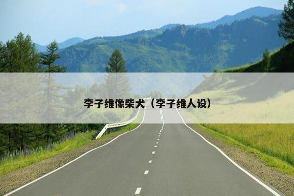李子维像柴犬（李子维人设）