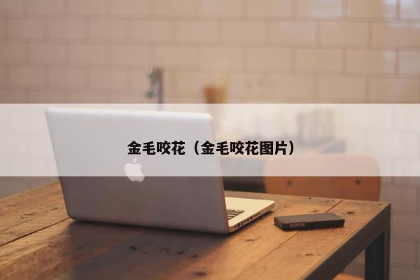 金毛咬花（金毛咬花图片）