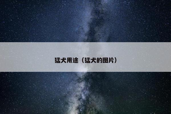 猛犬用途(猛犬的图片)