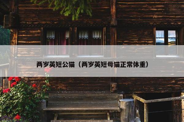 两岁英短公猫（两岁英短母猫正常体重）
