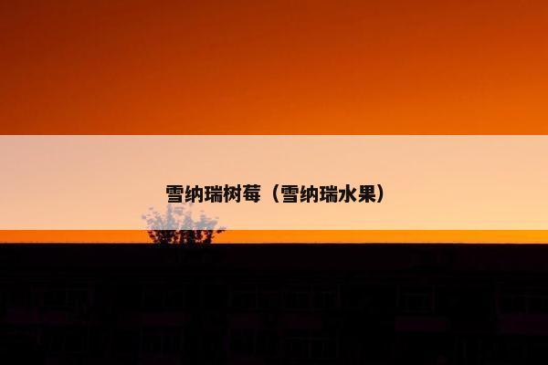 雪纳瑞树莓(雪纳瑞水果)