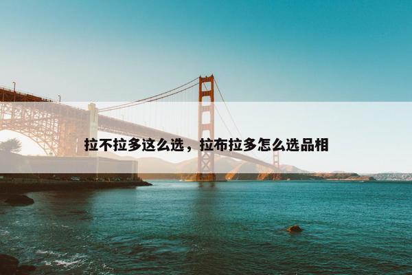 拉不拉多这么选，拉布拉多怎么选品相