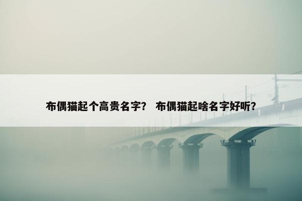 布偶猫起个高贵名字？ 布偶猫起啥名字好听？