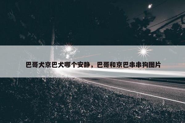 巴哥犬京巴犬哪个安静，巴哥和京巴串串狗图片
