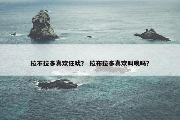 拉不拉多喜欢狂吠？ 拉布拉多喜欢叫唤吗？